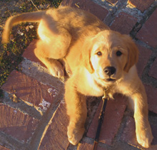 Adora at 4 months