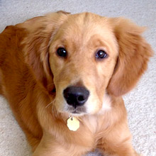 Mackenzie at 6 months