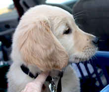 Mel at 9 weeks