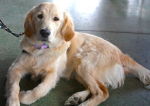 Muse at 7 months