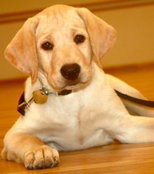 Stuart at 3 months
